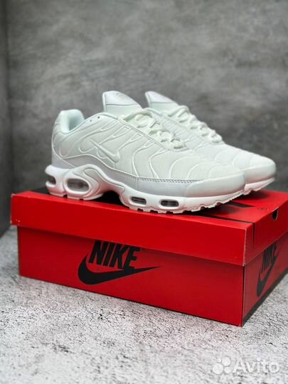 Кроссовки Nike Air Max TN plus