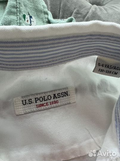 Рубашка US Polo assn 116