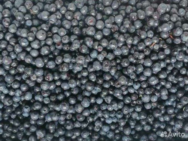 Черника замороженая