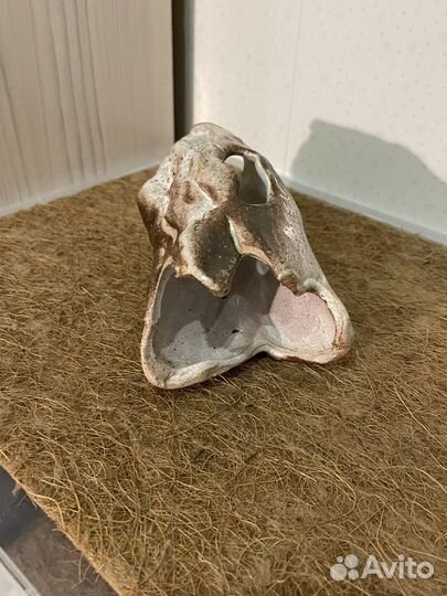 Кора для террариума