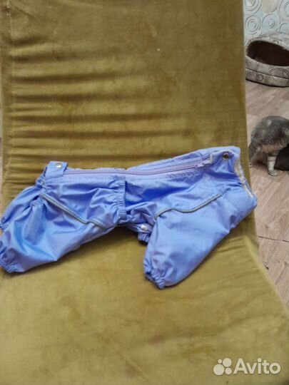 Дождевик для собак