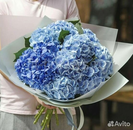 Гортензии цветы букеты