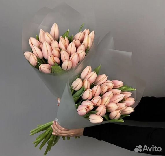 Тюльпаны коралл необычные