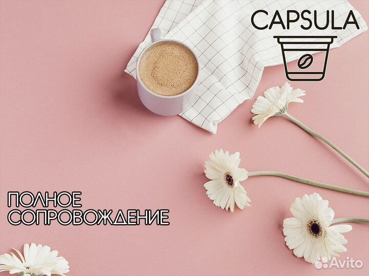 Capsula: лучший выбор для вашего бизнеса
