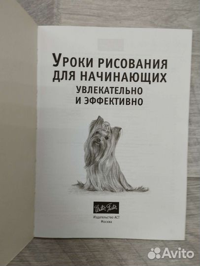 Диана Кардаччи. Уроки рисования для начинающих