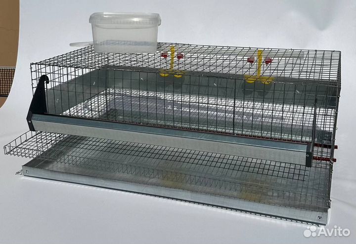 Клетка для 30 перепелов