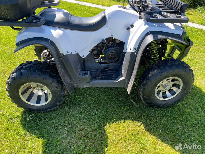 Avantis Hunter 200 NEW premium