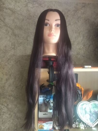 Голова учебная