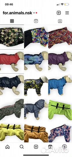 Одежда для собак и кошек всех пород