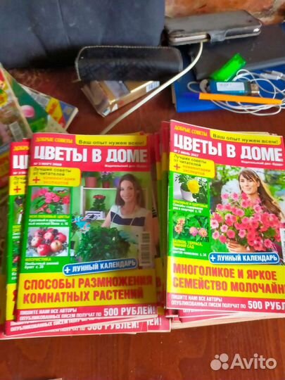 Цветы в доме