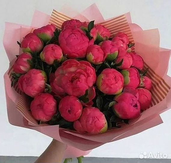 Пионы Букет пионов