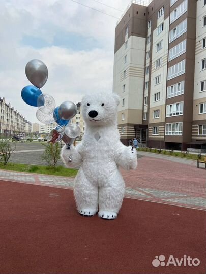 Медведь поздравление белого медведя в Новосибирске