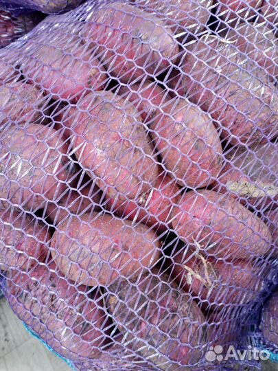 Продам картофель