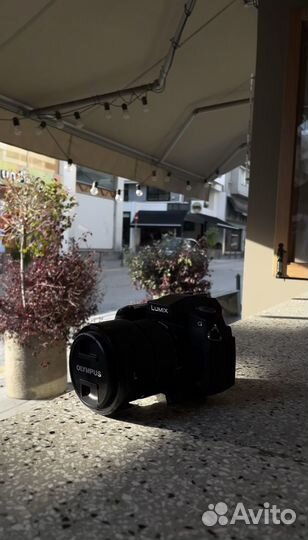 Panasonic lumix g80 body