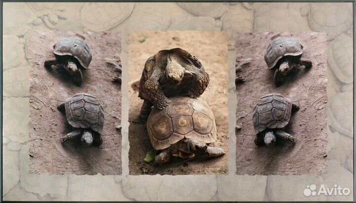 Фотокартина в интерьер