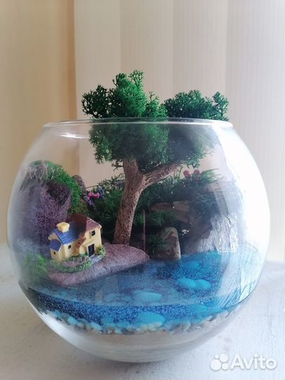 Моссариум, подарок