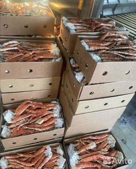 Конечности камчатского краба