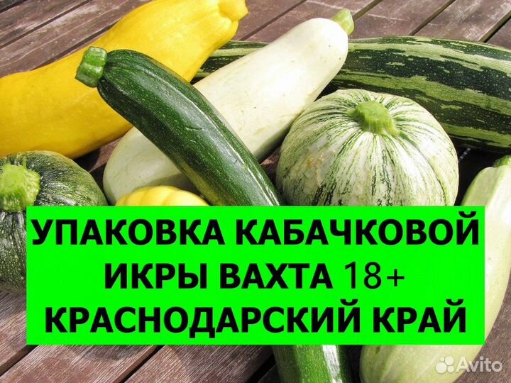 Упаковка кабачковой икры вахта Краснодарский край