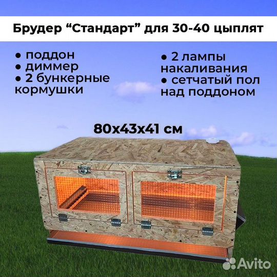 Брудер для цыплят