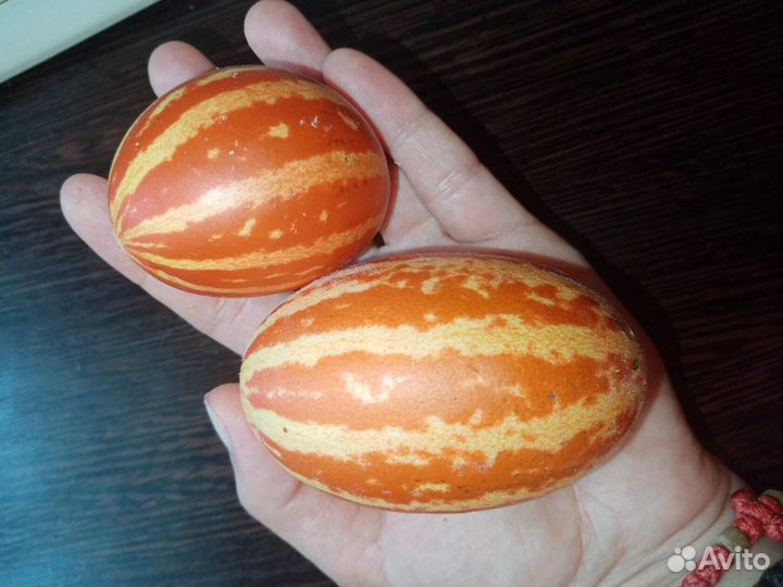 Сенмена Вьетнамской дыни