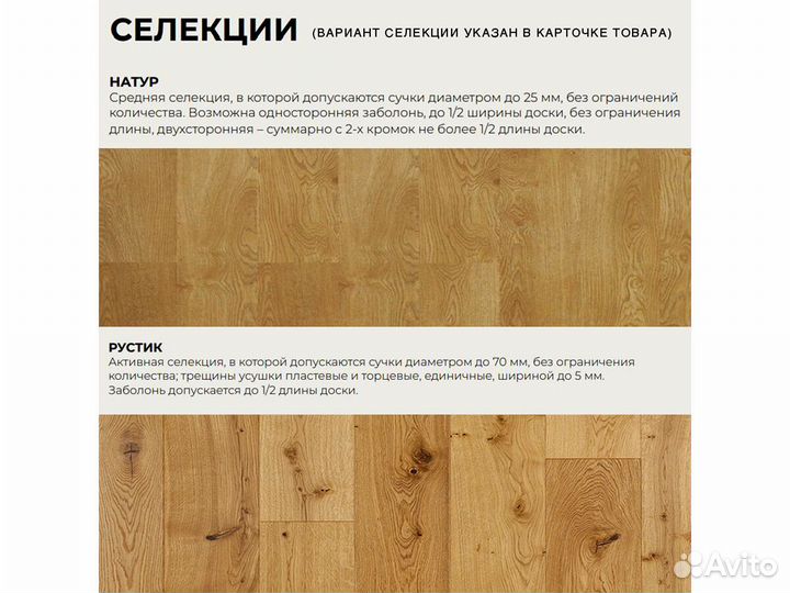 Дуб Пустынный