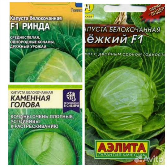 Рассада капусты, цветная, брокколи, белокочанная