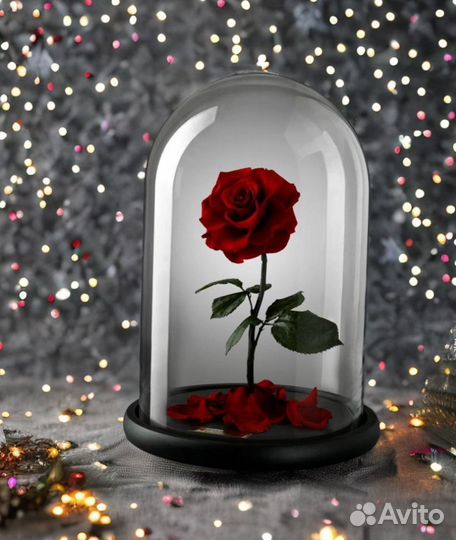 Роза в колбе на Композиции из цветов