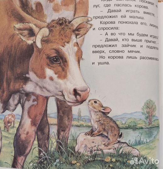 Книги Приключения зайчонка, котенка, бельчонка