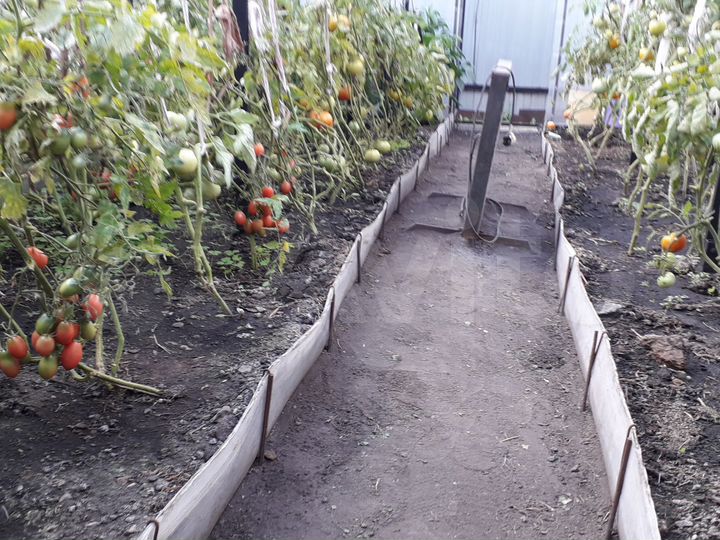 Дом 56,1 м² на участке 8,9 сот.