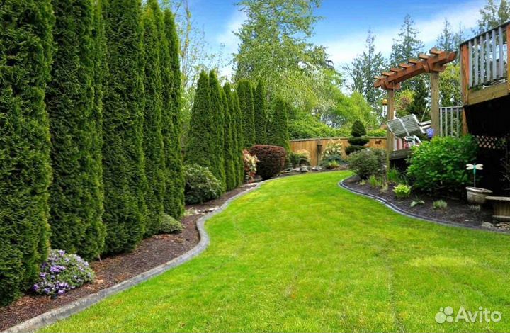 Укладка рулонного газона под ключ, производитель