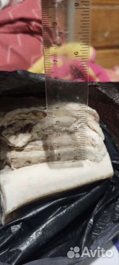 Сало соленое домашнее