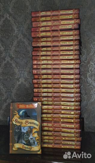 Коты-Воители