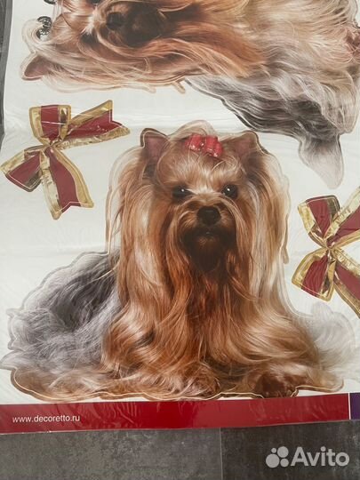 Йоркширский терьер