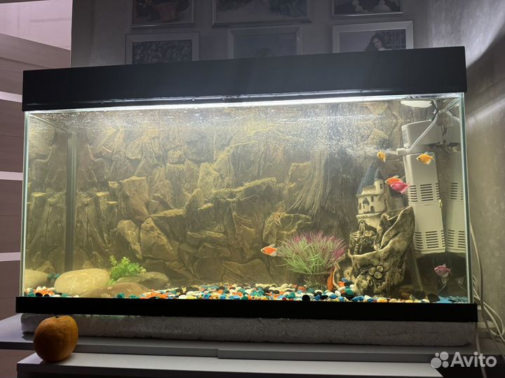 Аквариум на 150 литров
