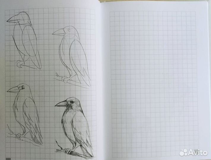 Творческий курс по рисованию 