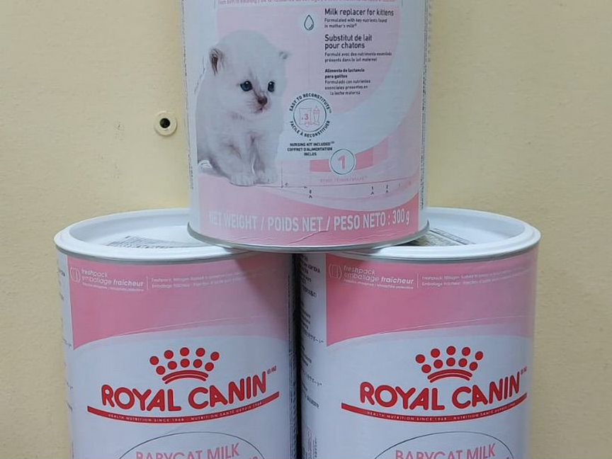 Сухое молоко Royal canin Babycat milk