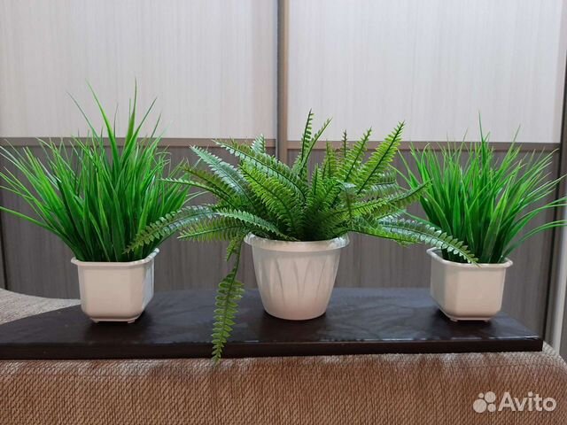 Осока искуственная