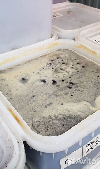 Мёд гречишный куботейнер