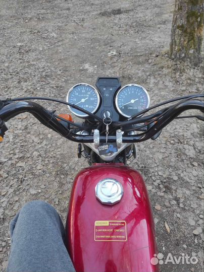 Alpha 110