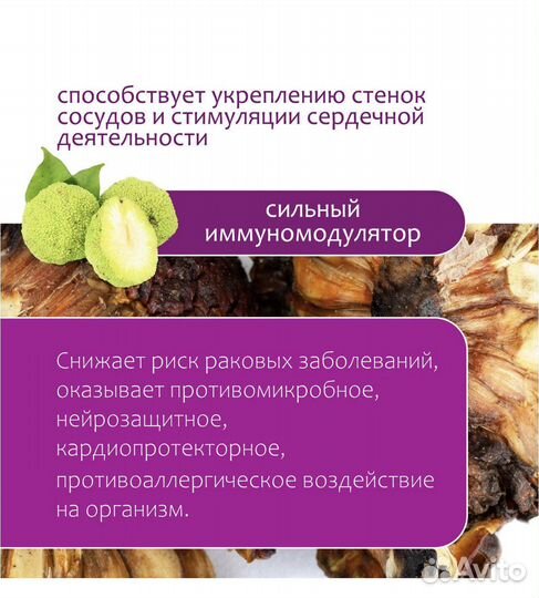 Адамово яблоко сушеное