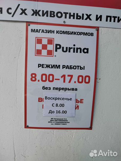 Семечки подсолнечника