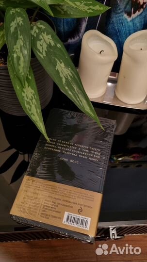 Книга Крис Восс 