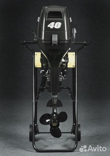 Лодочный мотор Suzuki (Сузуки) DT40WS