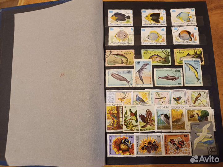 Альбом с марками СССР и др.стран