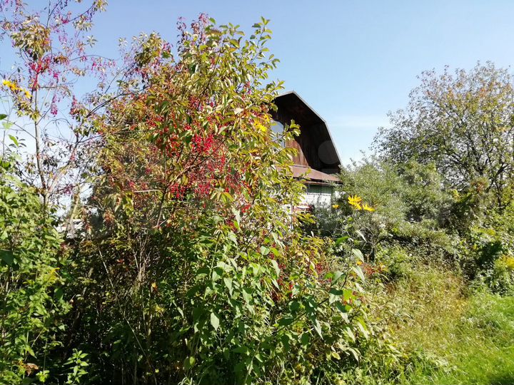 Дача 55 м² на участке 6 сот.