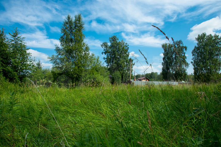 Участок 13,5 сот. (СНТ, ДНП)