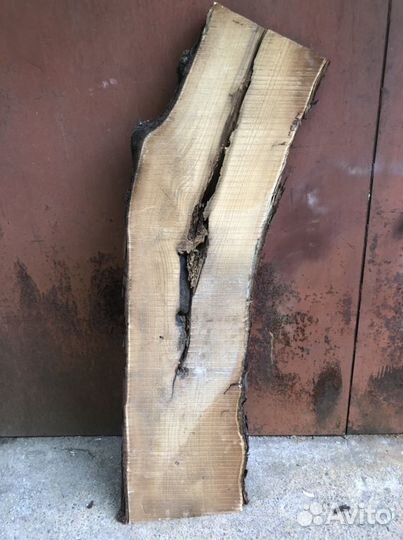 Слэб дикой маслины