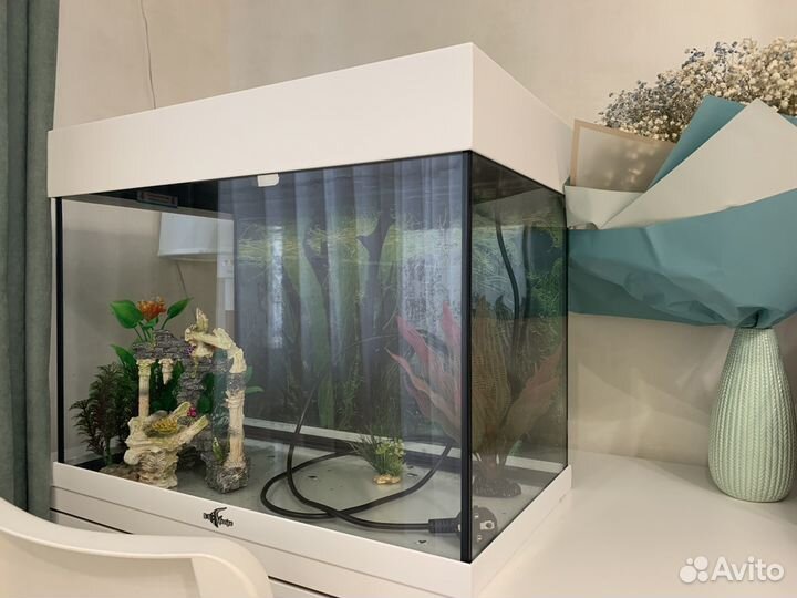 Аквариум для рыб Bio Design 60 полный комплект