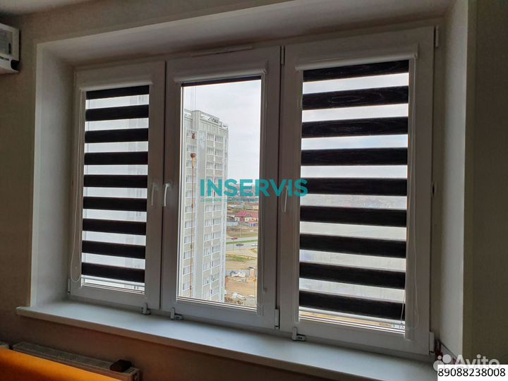 Зебра день ночь амиго