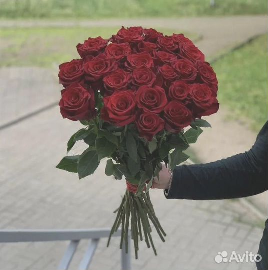 Розы 17 штук